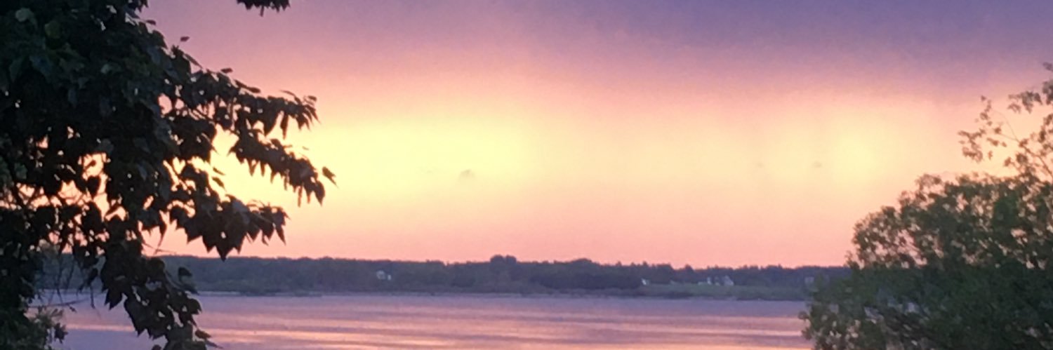 B banner