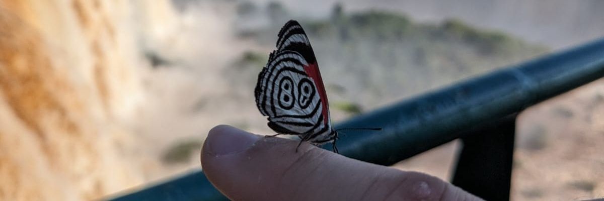 Sonsolesm99's profile banner image