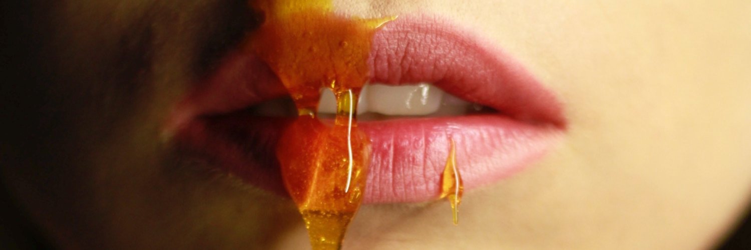 Bruna_Rocha's profile banner image