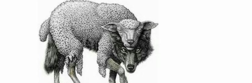 𝕚𝕒𝕞𝕛𝕖𝕣𝕣𝕠𝕕_💙 banner