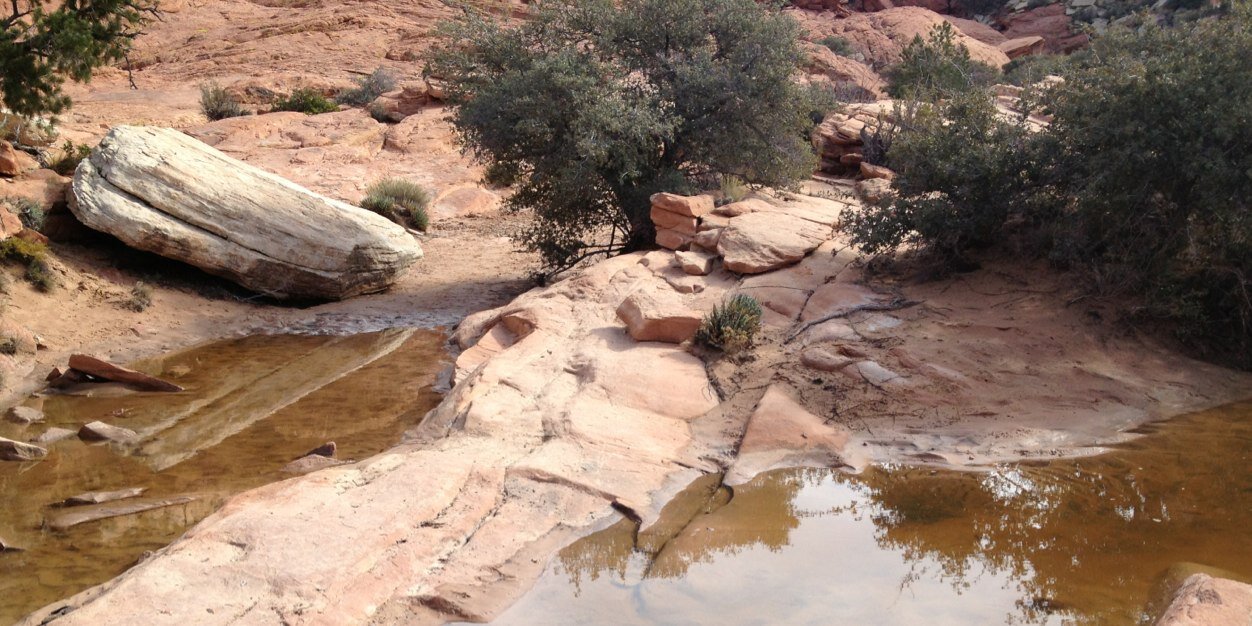 Eric Pascarello banner