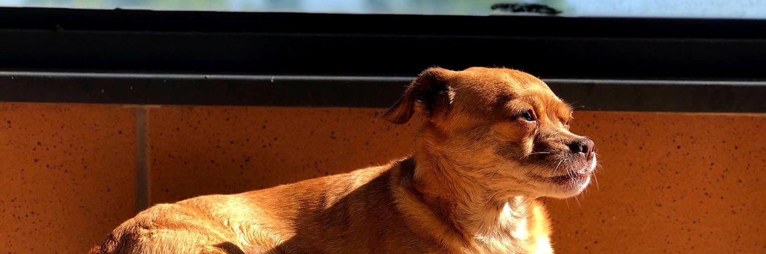 Lu. M 🇲🇽 banner