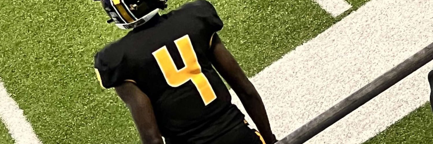 Devin banner