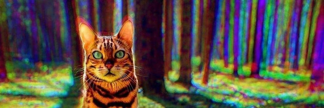 Soheilmvr's profile banner image