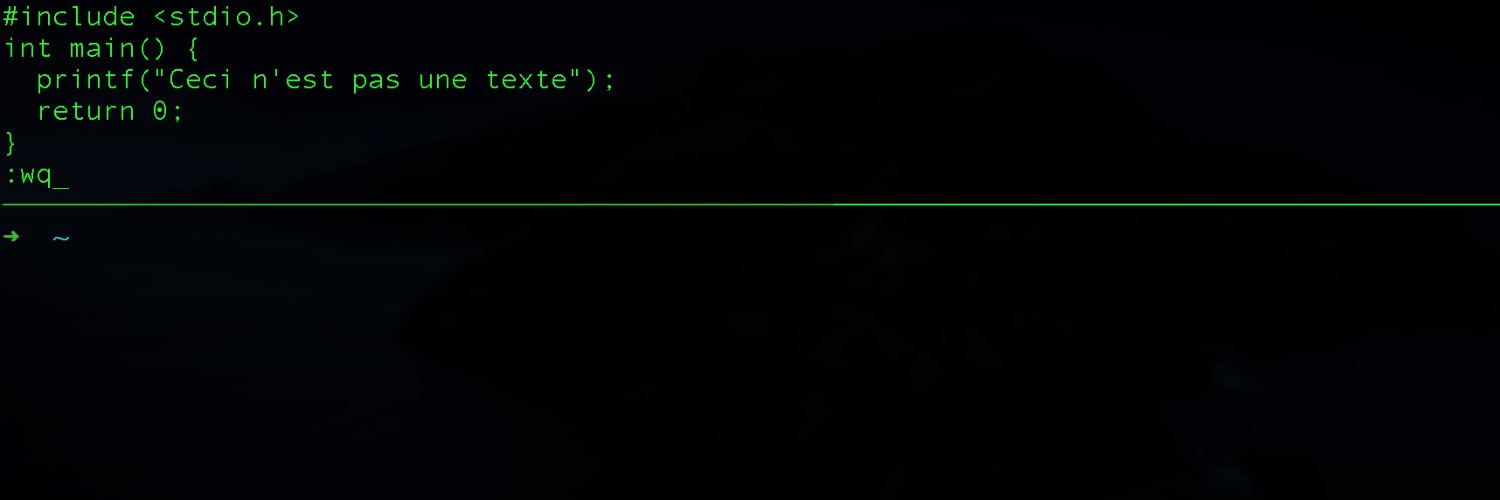 Mårten Möller banner