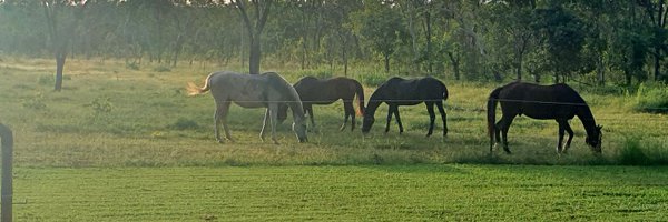 SimoneC0850 Profile Banner