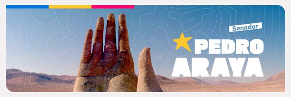 ArayaPedro Profile Banner