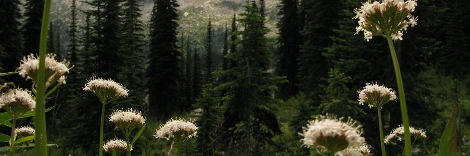 brianahaslam's profile banner image