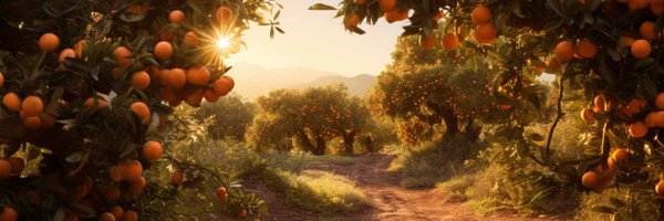 HEXOACOINCOM Profile Banner