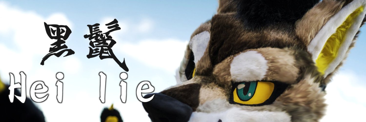 Haka_lion's profile banner image