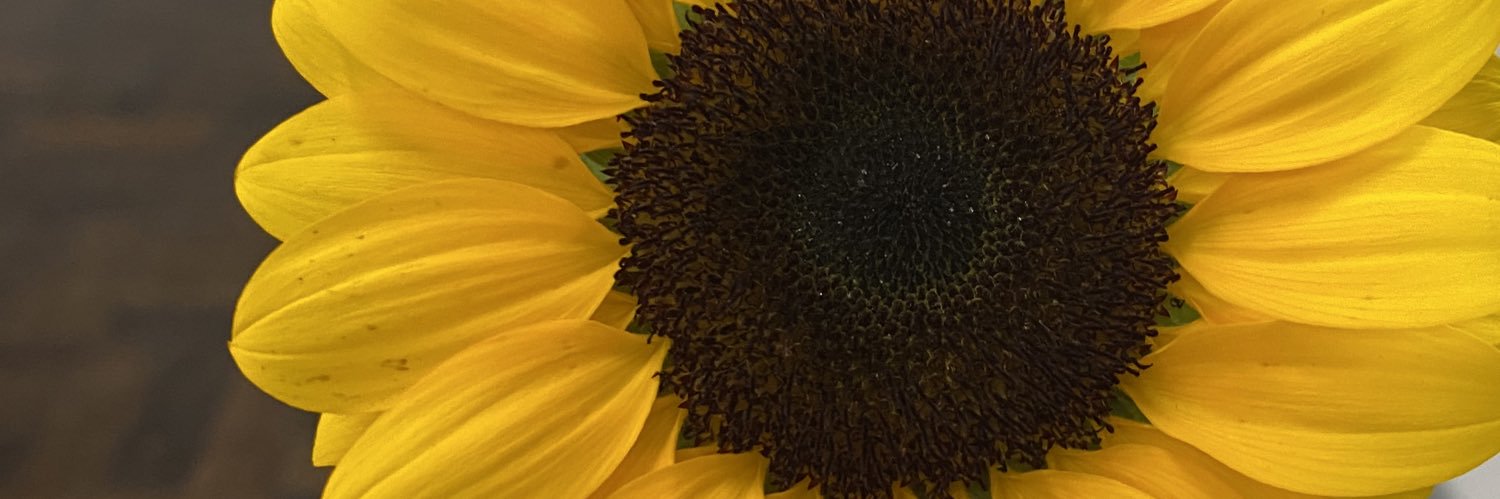 nanaschhh's profile banner image