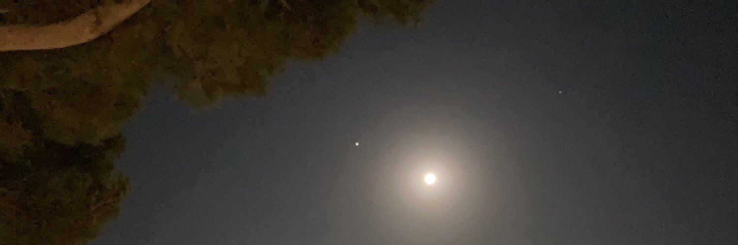 Jordi Pallés i Marimon banner