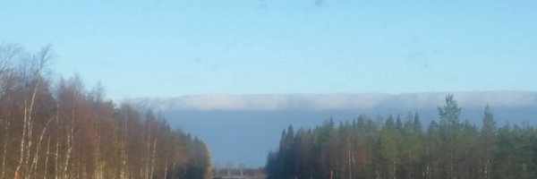 CherylJoyFish Profile Banner