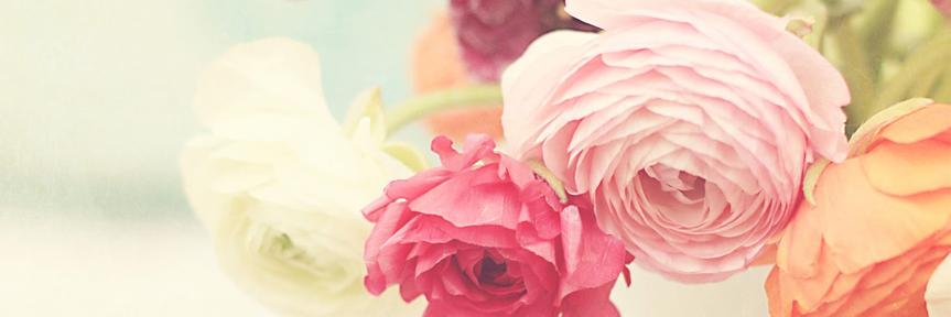 CindyNee's profile banner image