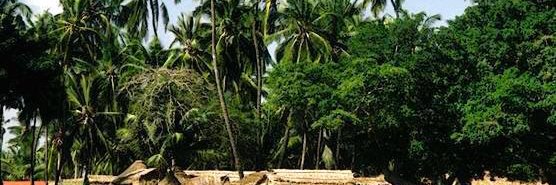 galool_somali's profile banner image
