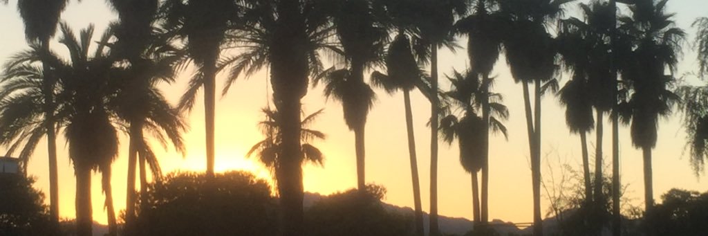 lawson_dillon's profile banner image