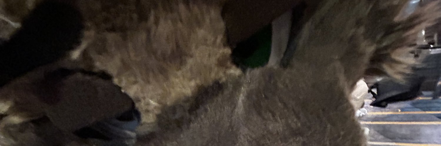 Bread 🍞 banner