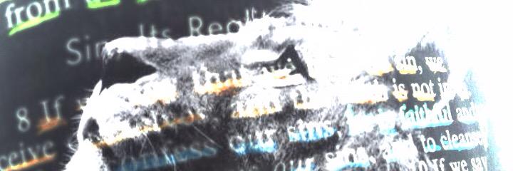 Erik_Hailey's profile banner image