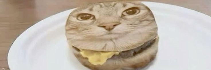 CalvinTCCLead's profile banner image