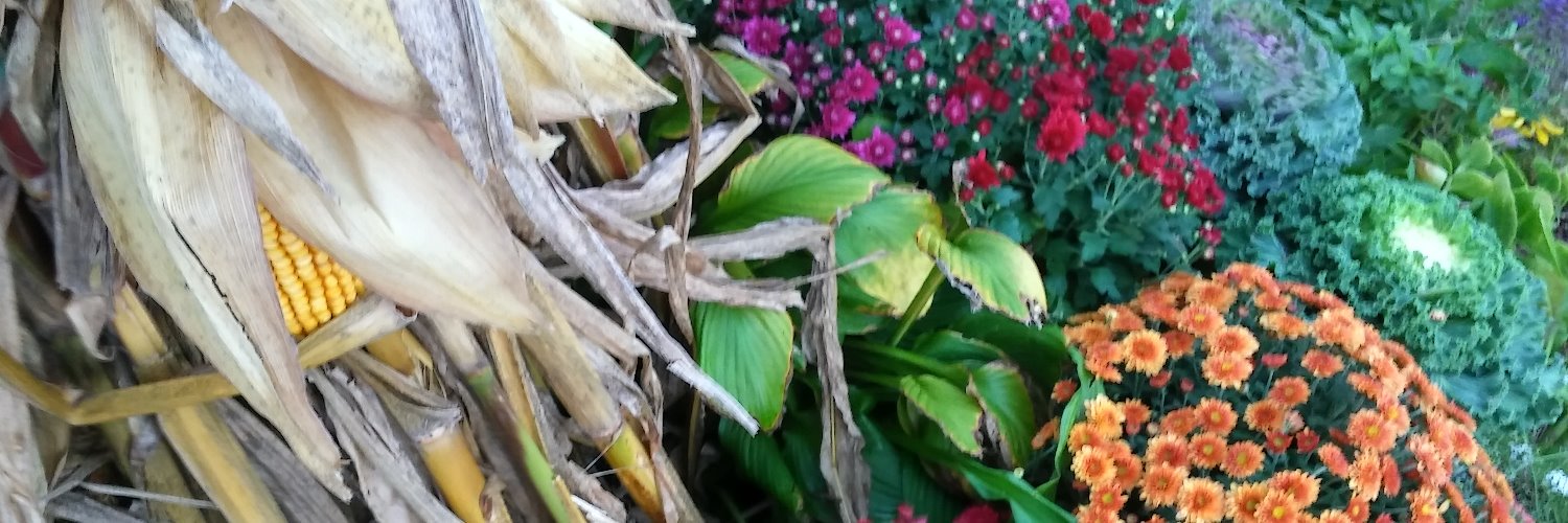 RtiQL8Media's profile banner image