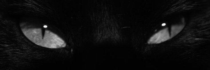 George. banner