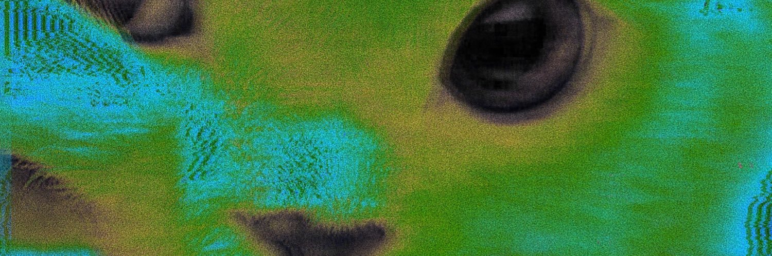 fallniss's profile banner image