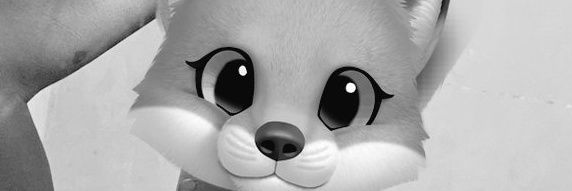 kokoo2o's profile banner image