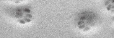 Yuurei banner