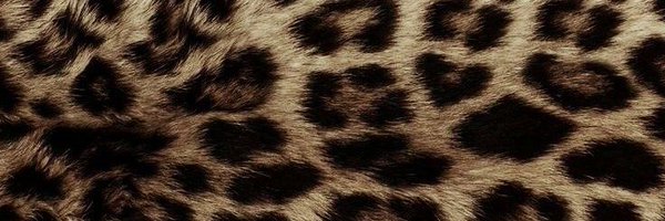 mieritsuka Profile Banner