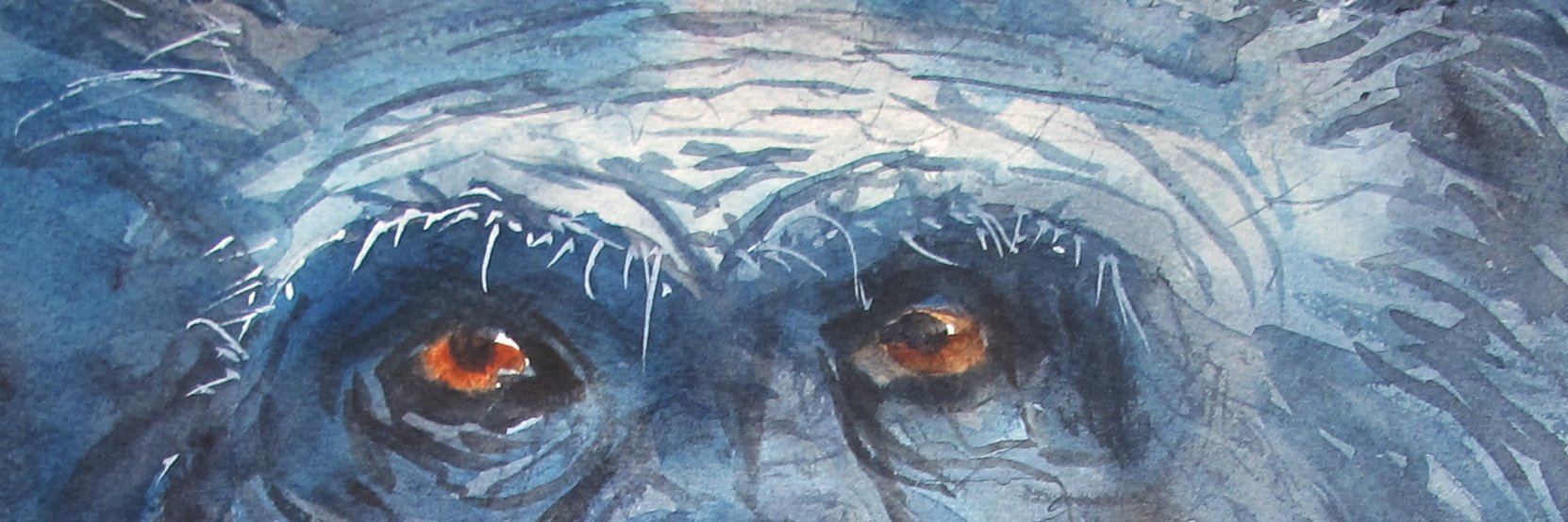 billieswashes's profile banner image