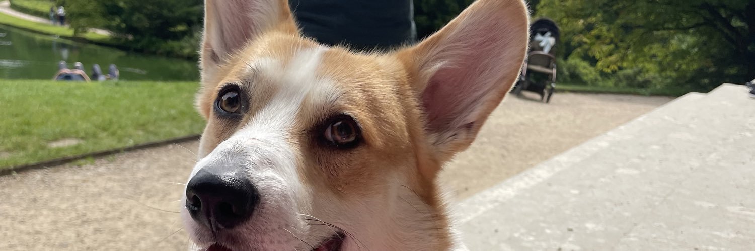 Stephanie Minton banner