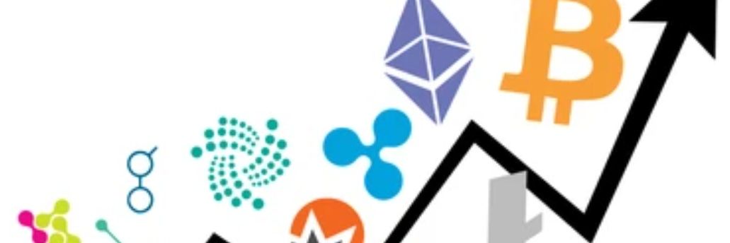 King Nathan 👑 banner