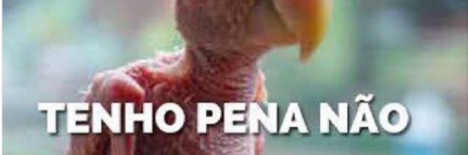 entsuo 4x 🏆 banner