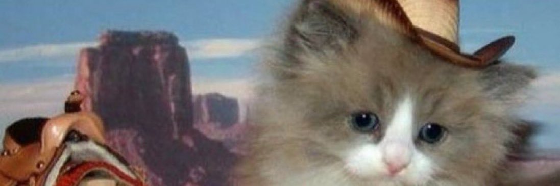 velvetbuzzkill's profile banner image