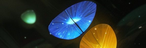 しろほたる@スマホ写真部の日常📱 banner