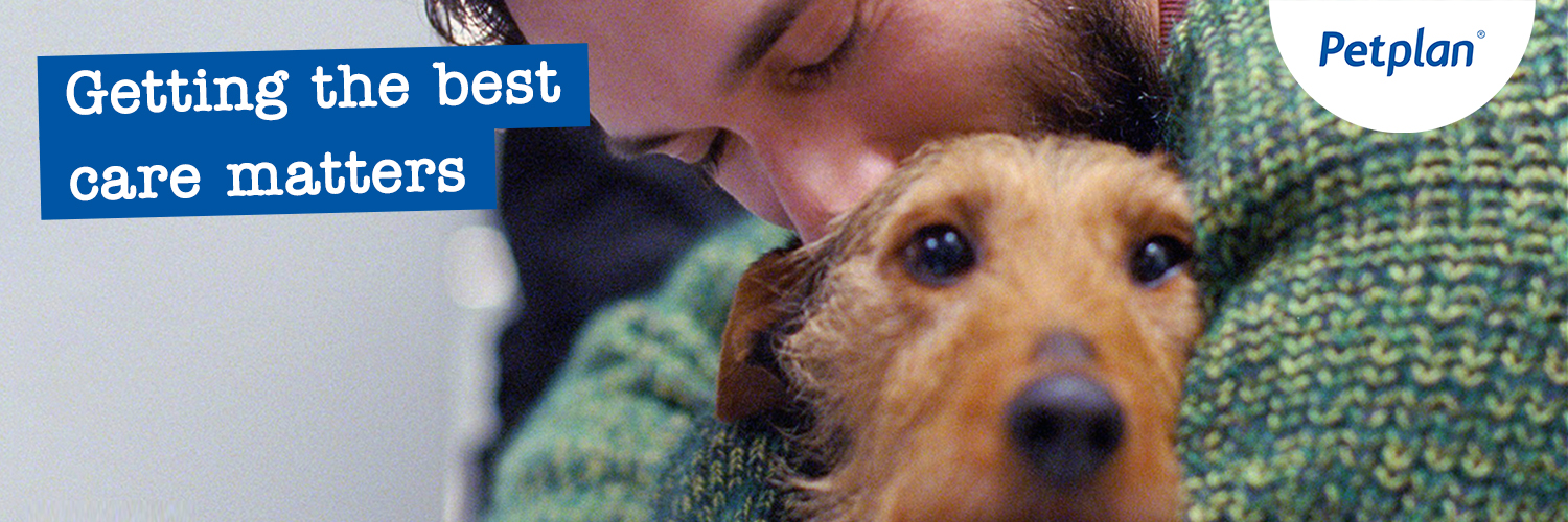 PetplanUK's profile banner image