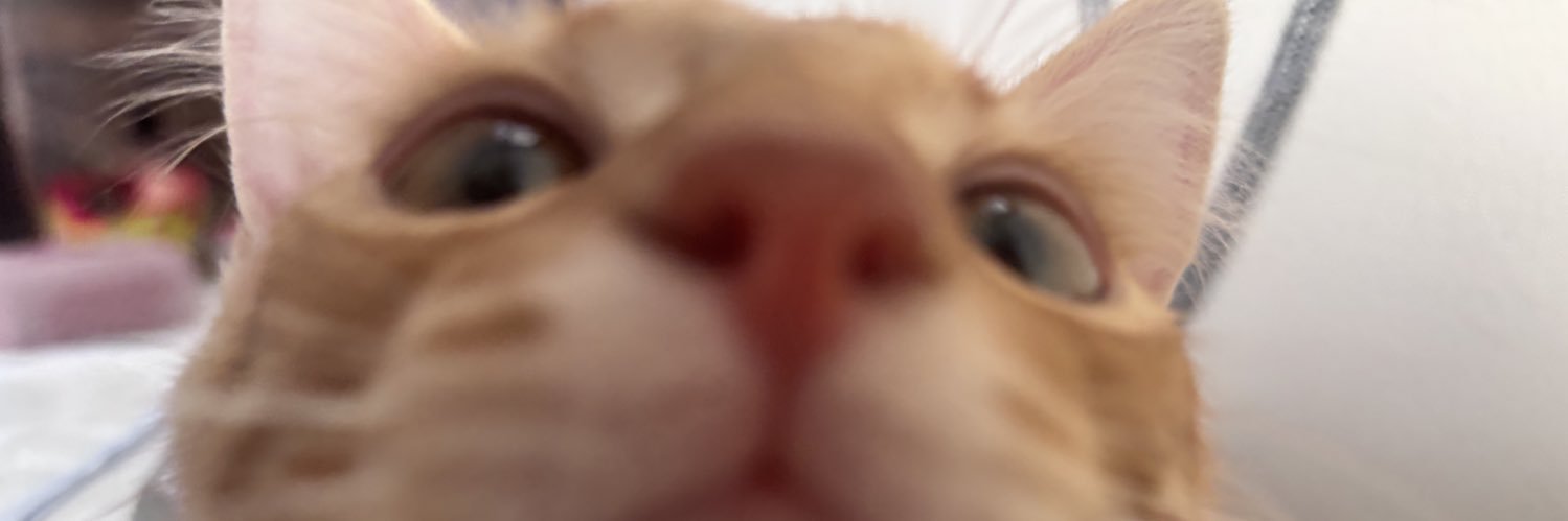 claudialuciiaa's profile banner image