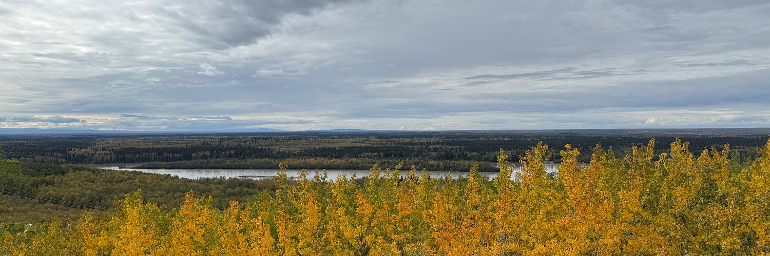 Doyon, Limited banner