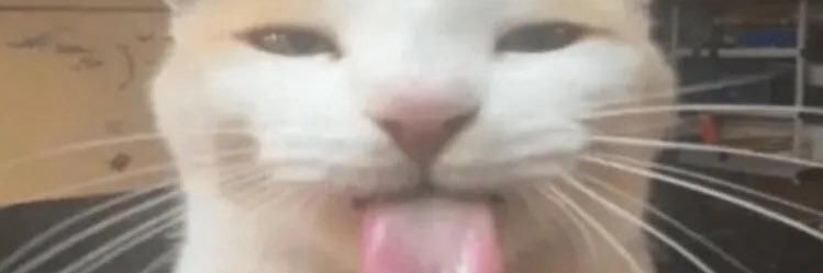 AS1mpleJoke's profile banner image