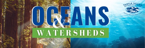 SeaTurtles_org Profile Banner