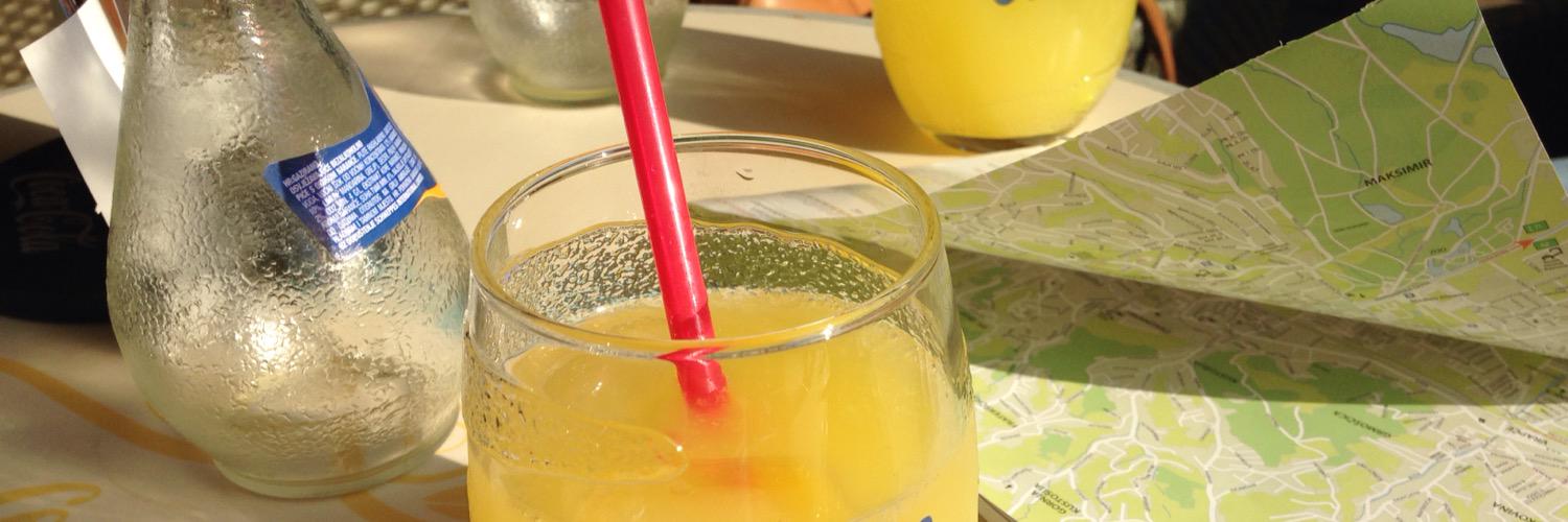 Edith Solenne Monk banner