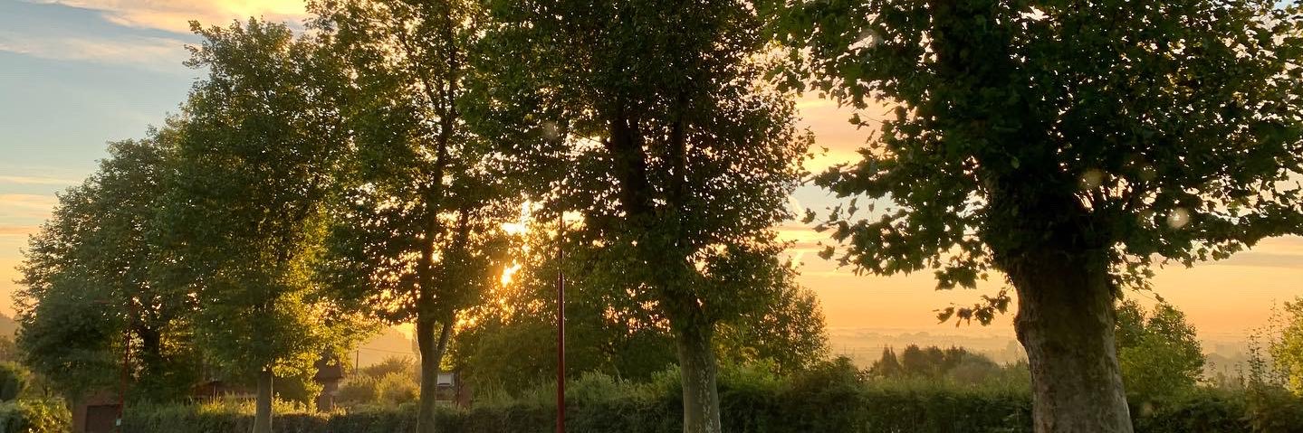 junecris_frye banner