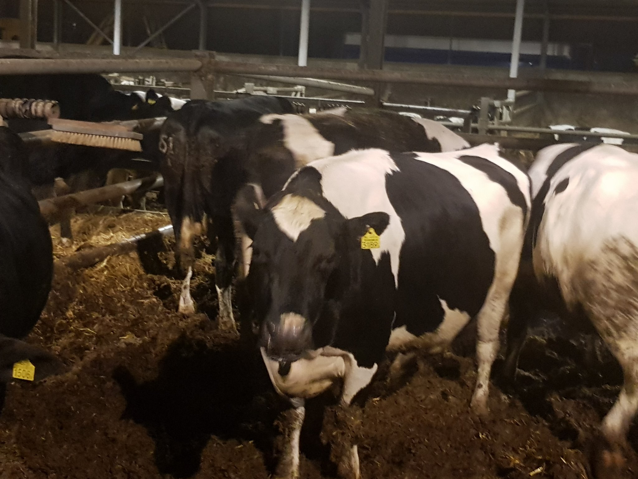 Edwin Heijdra banner