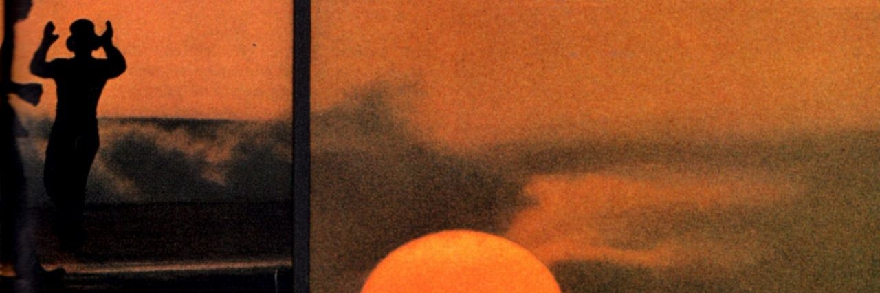 lauribo_'s profile banner image