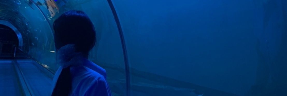 Im.farohh🤍🤏🏻 banner