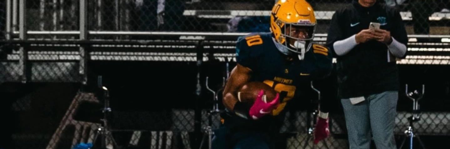 Tylin Davis banner