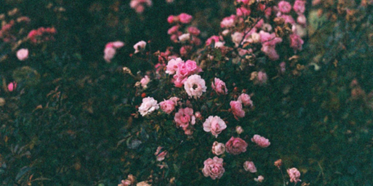 MJijix's profile banner image