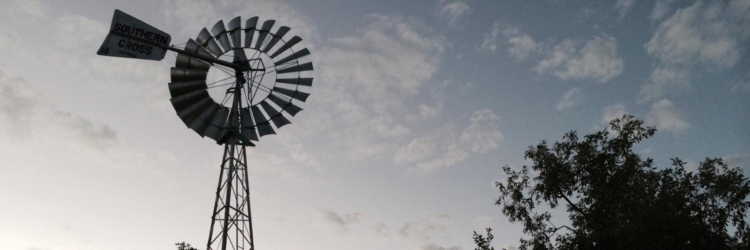 AliciaMolik's profile banner image