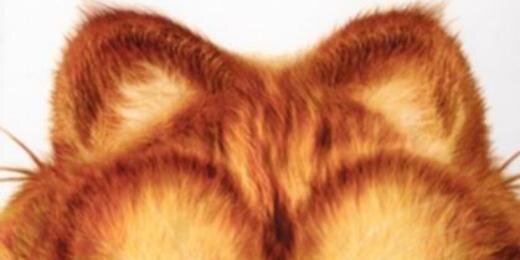 加菲喵星淫萌萌哒喵喵喵 banner