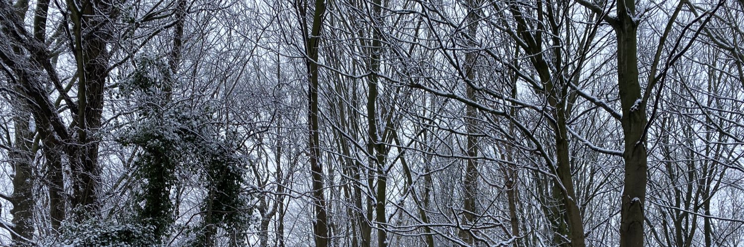 Dannoioi's profile banner image